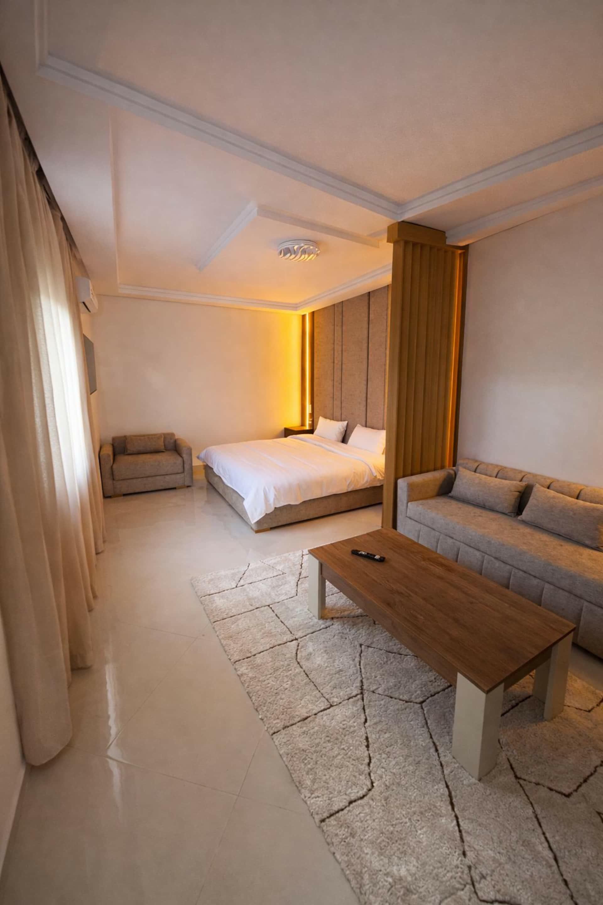 Overview of the living room and bedroom